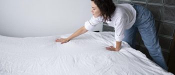 comment voir punaises de lit 740x493